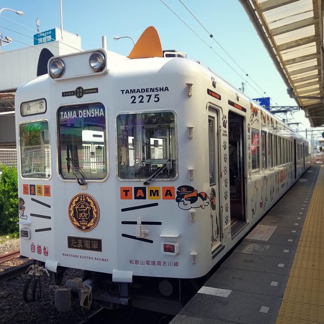 二代玉 四代玉 伊太祈曾站 貴志站 貓站長 貓車長 小玉列車 和歌山電鐵貴志川線 和歌山電鐵 貴志川線 和歌山 溫泉 推介 和歌山 溫泉 推薦 日本 和歌山 日本和歌山 和歌山 遊記 和歌山旅遊 和歌山縣 和歌山市 和歌山市景點 和歌山景點 和歌山必去 和歌山必到 和歌山好去處 和歌山一日遊 和歌山半日遊 和歌山自由行 和歌山行程 和歌山交通 和歌山站 和歌山自駕遊
