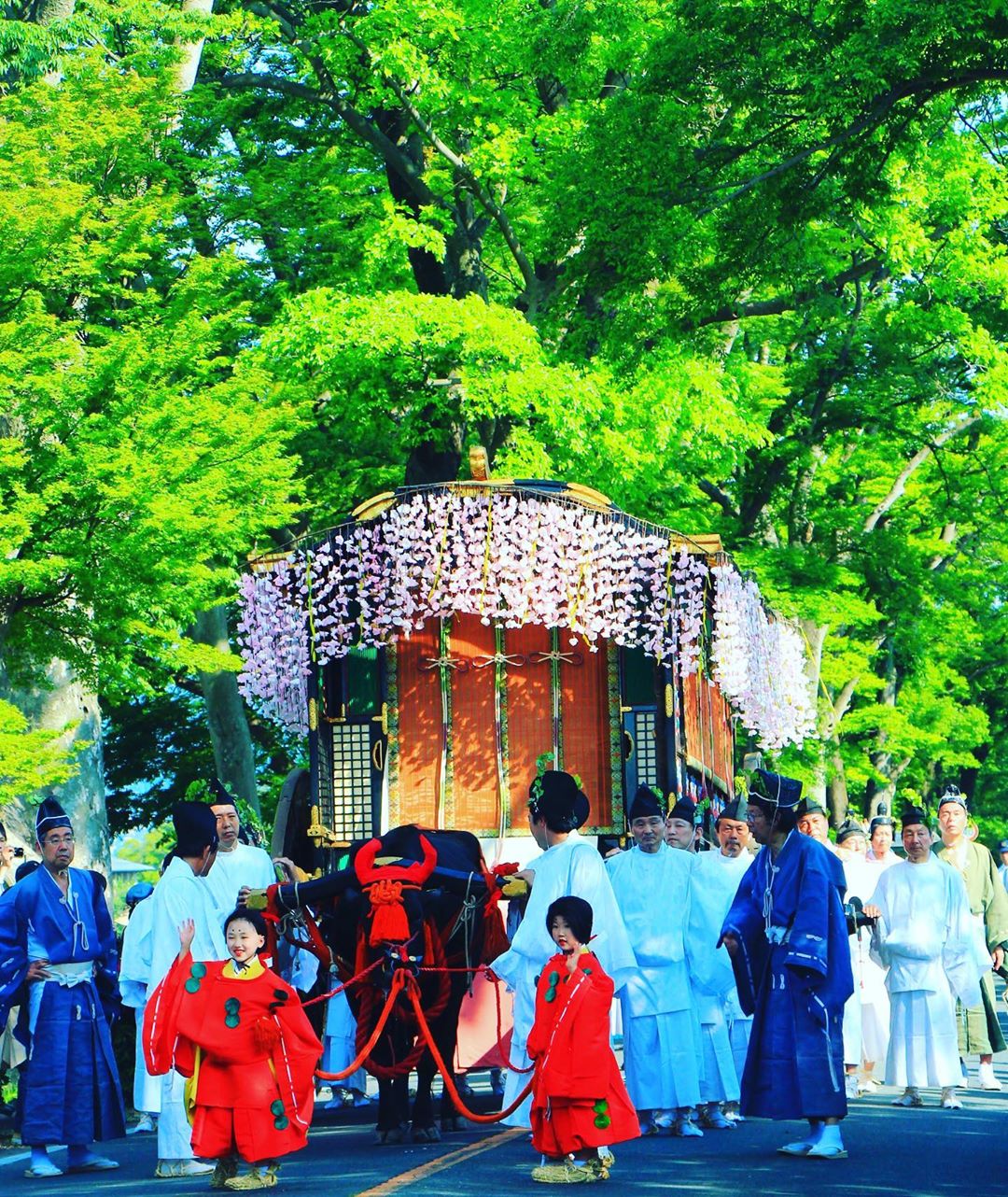 賀茂御祖神社 下鴨神社 下鴨神社交通 下鴨神社御守 下鴨神社美食 下鴨神社2019 下鴨神社水籤 下鴨神社御朱印 下鴨神社媛守 下鴨神社櫻花 下鴨神社相生社 下鴨神社紅葉 櫻花 紅葉 楓葉 Shimogamo Shrine ShimogamoShrine