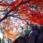 輪王寺｜日本 Japan 日本必食 日本必吃 日本必到 日本必去 日本必買 日本必掃 日本自由行 日本行程 日本行程包 日本懶人包 日本好去處 日本景點 日本必到景點 日本必去景點 日本美食 日本交通 日本攻略 日本自由行行程 日本自由行行程推薦 日本酒店 日本飯店 日本酒店推薦 日本飯店推薦 日本必住酒店 日本必住飯店 日本必食2019 日本必吃2019 日本必到2019 日本必去2019 日本必買2019 日本必掃2019 日本自由行2019 日本行程2019 日本行程包2019 日本懶人包2019 日本好去處2019 日本景點2019 日本必到景點2019 日本必去景點2019 日本美食2019 日本交通2019 日本攻略2019 日本自由行行程2019 日本自由行行程推薦2019 日本酒店2019 日本飯店2019 日本酒店推薦2019 日本飯店推薦2019 日本必住酒店2019 日本必住飯店2019 東京 Tokyo 東京必食 東京必吃 東京必到 東京必去 東京必買 東京必掃 東京自由行 東京行程 東京行程包 東京懶人包 東京好去處 東京景點 東京必到景點 東京必去景點 東京美食 東京交通 東京攻略 東京自由行行程 東京自由行行程推薦 東京酒店 東京飯店 東京酒店推薦 東京飯店推薦 東京必住酒店 東京必住飯店 東京必食2019 東京必吃2019 東京必到2019 東京必去2019 東京必買2019 東京必掃2019 東京自由行2019 東京行程2019 東京行程包2019 東京懶人包2019 東京好去處2019 東京景點2019 東京必到景點2019 東京必去景點2019 東京美食2019 東京交通2019 東京攻略2019 東京自由行行程2019 東京自由行行程推薦2019 東京酒店2019 東京飯店2019 東京酒店推薦2019 東京飯店推薦2019 東京必住酒店2019 東京必住飯店2019 銀杏2019 日本銀杏 日本銀杏2019 東京銀杏 東京銀杏2019 楓葉2019 紅葉2019 日本楓葉2019 日本楓葉 日本紅葉 日本紅葉2019 東京楓葉2019 東京楓葉 東京紅葉 東京紅葉2019 河口湖紅葉迴廊 河口湖 河口湖楓葉 河口湖紅葉 高尾山 高尾山楓葉 高尾山紅葉 高尾山纜車 高尾山藥王院 高尾山美食 日光紅葉 日光紅葉坂 日光 紅葉坂 龍頭瀑布 龍頭瀑布紅葉 日光楓葉 紅葉坂楓葉 龍頭瀑布楓葉 湯之湖 湯之湖紅葉 湯之湖楓葉 中禪寺湖 中禪寺湖楓葉 中禪寺湖紅葉 輪王寺 輪王寺紅葉 輪王寺楓葉 龍王峽 龍王峽紅葉 龍王峽楓葉 輪王寺大猷院 日光輪王寺改修 輪王寺三佛堂 輪王寺整修2019 日光輪王寺破魔矢 輪王寺2018 二荒山神社 日光東照宮整修2019 輪王寺2019 輪王寺維修