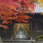 輪王寺｜日本 Japan 日本必食 日本必吃 日本必到 日本必去 日本必買 日本必掃 日本自由行 日本行程 日本行程包 日本懶人包 日本好去處 日本景點 日本必到景點 日本必去景點 日本美食 日本交通 日本攻略 日本自由行行程 日本自由行行程推薦 日本酒店 日本飯店 日本酒店推薦 日本飯店推薦 日本必住酒店 日本必住飯店 日本必食2019 日本必吃2019 日本必到2019 日本必去2019 日本必買2019 日本必掃2019 日本自由行2019 日本行程2019 日本行程包2019 日本懶人包2019 日本好去處2019 日本景點2019 日本必到景點2019 日本必去景點2019 日本美食2019 日本交通2019 日本攻略2019 日本自由行行程2019 日本自由行行程推薦2019 日本酒店2019 日本飯店2019 日本酒店推薦2019 日本飯店推薦2019 日本必住酒店2019 日本必住飯店2019 東京 Tokyo 東京必食 東京必吃 東京必到 東京必去 東京必買 東京必掃 東京自由行 東京行程 東京行程包 東京懶人包 東京好去處 東京景點 東京必到景點 東京必去景點 東京美食 東京交通 東京攻略 東京自由行行程 東京自由行行程推薦 東京酒店 東京飯店 東京酒店推薦 東京飯店推薦 東京必住酒店 東京必住飯店 東京必食2019 東京必吃2019 東京必到2019 東京必去2019 東京必買2019 東京必掃2019 東京自由行2019 東京行程2019 東京行程包2019 東京懶人包2019 東京好去處2019 東京景點2019 東京必到景點2019 東京必去景點2019 東京美食2019 東京交通2019 東京攻略2019 東京自由行行程2019 東京自由行行程推薦2019 東京酒店2019 東京飯店2019 東京酒店推薦2019 東京飯店推薦2019 東京必住酒店2019 東京必住飯店2019 銀杏2019 日本銀杏 日本銀杏2019 東京銀杏 東京銀杏2019 楓葉2019 紅葉2019 日本楓葉2019 日本楓葉 日本紅葉 日本紅葉2019 東京楓葉2019 東京楓葉 東京紅葉 東京紅葉2019 河口湖紅葉迴廊 河口湖 河口湖楓葉 河口湖紅葉 高尾山 高尾山楓葉 高尾山紅葉 高尾山纜車 高尾山藥王院 高尾山美食 日光紅葉 日光紅葉坂 日光 紅葉坂 龍頭瀑布 龍頭瀑布紅葉 日光楓葉 紅葉坂楓葉 龍頭瀑布楓葉 湯之湖 湯之湖紅葉 湯之湖楓葉 中禪寺湖 中禪寺湖楓葉 中禪寺湖紅葉 輪王寺 輪王寺紅葉 輪王寺楓葉 龍王峽 龍王峽紅葉 龍王峽楓葉 輪王寺大猷院 日光輪王寺改修 輪王寺三佛堂 輪王寺整修2019 日光輪王寺破魔矢 輪王寺2018 二荒山神社 日光東照宮整修2019 輪王寺2019 輪王寺維修