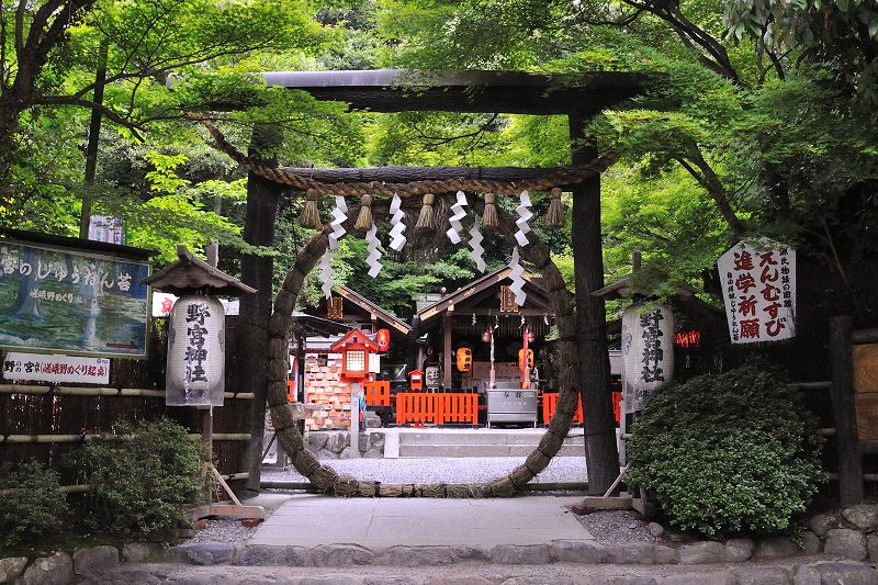 野宮神社 Nonomiya Shrine NonomiyaShrine 野宮神社時間 野宮神社wiki 野宮神社籤詩 籤詩 櫻花 求子 朱印 楓葉 紅葉 楓葉 野宮神社櫻花 野宮神社求子 野宮神社朱印 野宮神社楓葉 野宮神社愛情 野宮神社交通 嵐山神社