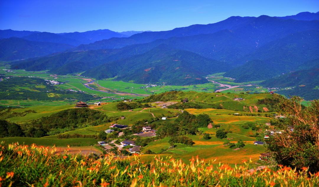 金針花 台灣金針花 六十石山 花蓮景點 花蓮好去處 花蓮必去 台灣賞花秘境 台灣賞花 台灣賞花景點 台灣花季 台灣好去處 台灣必去 踏青好去處 台灣踏青好去處 台灣踏青 南部賞花景點 北部賞花景點 中部賞花景點