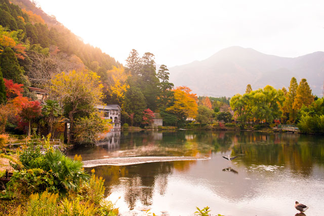 金鱗湖 金鱗湖紅葉 2019 金鱗湖 紅葉 2019 大分 紅葉 景點 2019 大分紅葉景點 2019 大分 紅葉景點 2019 大分紅葉 2019 大分紅葉2019 大分 紅葉 大分紅葉 2019 大分紅葉2019 大分賞楓 2019 大分賞楓2019 大分賞楓景點 2019 大分賞楓景點2019 大分夜楓 2019 大分夜楓2019 大分夜楓景點2019 大分夜楓景點 2019 九州紅葉 2019 九州紅葉2019 九州紅葉 景點 2019 九州紅葉景點 2019 九州紅葉景點2019 九州賞楓 2019 九州賞楓2019 九州賞楓景點 2019 九州賞楓景點2019 九州賞楓 景點 2019 九州夜楓2019 九州夜楓 2019 九州夜楓景點2019 九州夜楓景點 2019 九州夜楓 景點 2019 九州楓葉2019 九州楓葉 2019 九州楓葉景點2019 九州楓葉景點 2019 九州 紅葉祭 2019 九州景點 九州必去 九州必看 九州自由行 九州行程 九州自由行行程推薦 九州自由行行程推介 九州自由行行程
