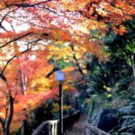 飛鳥山公園|日本 Japan 日本必食 日本必吃 日本必到 日本必去 日本必買 日本必掃 日本自由行 日本行程 日本行程包 日本懶人包 日本好去處 日本景點 日本必到景點 日本必去景點 日本美食 日本交通 日本攻略 日本自由行行程 日本自由行行程推薦 日本酒店 日本飯店 日本酒店推薦 日本飯店推薦 日本必住酒店 日本必住飯店 日本必食2019 日本必吃2019 日本必到2019 日本必去2019 日本必買2019 日本必掃2019 日本自由行2019 日本行程2019 日本行程包2019 日本懶人包2019 日本好去處2019 日本景點2019 日本必到景點2019 日本必去景點2019 日本美食2019 日本交通2019 日本攻略2019 日本自由行行程2019 日本自由行行程推薦2019 日本酒店2019 日本飯店2019 日本酒店推薦2019 日本飯店推薦2019 日本必住酒店2019 日本必住飯店2019 東京 Tokyo 東京必食 東京必吃 東京必到 東京必去 東京必買 東京必掃 東京自由行 東京行程 東京行程包 東京懶人包 東京好去處 東京景點 東京必到景點 東京必去景點 東京美食 東京交通 東京攻略 東京自由行行程 東京自由行行程推薦 東京酒店 東京飯店 東京酒店推薦 東京飯店推薦 東京必住酒店 東京必住飯店 東京必食2019 東京必吃2019 東京必到2019 東京必去2019 東京必買2019 東京必掃2019 東京自由行2019 東京行程2019 東京行程包2019 東京懶人包2019 東京好去處2019 東京景點2019 東京必到景點2019 東京必去景點2019 東京美食2019 東京交通2019 東京攻略2019 東京自由行行程2019 東京自由行行程推薦2019 東京酒店2019 東京飯店2019 東京酒店推薦2019 東京飯店推薦2019 東京必住酒店2019 東京必住飯店2019 銀杏2019 日本銀杏 日本銀杏2019 東京銀杏 東京銀杏2019 楓葉2019 紅葉2019 日本楓葉2019 日本楓葉 日本紅葉 日本紅葉2019 東京楓葉2019 東京楓葉 東京紅葉 東京紅葉2019 國營昭和紀念公園 國營昭和紀念公園紅葉 國營昭和紀念公園楓葉 國營昭和紀念公園2019 國營昭和紀念公園紅葉2019 國營昭和紀念公園楓葉2019六義園 六義園紅葉 六義園楓葉 六義園2019 六義園紅葉2019 六義園楓葉2019 新宿御苑 新宿御苑紅葉 新宿御苑楓葉 新宿御苑2019 新宿御苑紅葉2019 新宿御苑楓葉2019 小石川後樂園 小石川後樂園紅葉 小石川後樂園楓葉 小石川後樂園2019 小石川後樂園紅葉2019 小石川後樂園楓葉2019 井之頭恩賜公園 井之頭恩賜公園紅葉 井之頭恩賜公園楓葉 井之頭恩賜公園2019 井之頭恩賜公園紅葉2019 井之頭恩賜公園楓葉2019 飛鳥山公園 飛鳥山公園紅葉 飛鳥山公園楓葉 飛鳥山公園2019 飛鳥山公園紅葉2019 飛鳥山公園楓葉2019 代代木公園 代代木公園紅葉 代代木公園楓葉 代代木公園2019 代代木公園紅葉2019 代代木公園楓葉2019 上野恩賜公園 上野恩賜公園紅葉 上野恩賜公園楓葉 上野恩賜公園2019 上野恩賜公園紅葉2019 上野恩賜公園楓葉2019