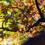飛鳥山公園|日本 Japan 日本必食 日本必吃 日本必到 日本必去 日本必買 日本必掃 日本自由行 日本行程 日本行程包 日本懶人包 日本好去處 日本景點 日本必到景點 日本必去景點 日本美食 日本交通 日本攻略 日本自由行行程 日本自由行行程推薦 日本酒店 日本飯店 日本酒店推薦 日本飯店推薦 日本必住酒店 日本必住飯店 日本必食2019 日本必吃2019 日本必到2019 日本必去2019 日本必買2019 日本必掃2019 日本自由行2019 日本行程2019 日本行程包2019 日本懶人包2019 日本好去處2019 日本景點2019 日本必到景點2019 日本必去景點2019 日本美食2019 日本交通2019 日本攻略2019 日本自由行行程2019 日本自由行行程推薦2019 日本酒店2019 日本飯店2019 日本酒店推薦2019 日本飯店推薦2019 日本必住酒店2019 日本必住飯店2019 東京 Tokyo 東京必食 東京必吃 東京必到 東京必去 東京必買 東京必掃 東京自由行 東京行程 東京行程包 東京懶人包 東京好去處 東京景點 東京必到景點 東京必去景點 東京美食 東京交通 東京攻略 東京自由行行程 東京自由行行程推薦 東京酒店 東京飯店 東京酒店推薦 東京飯店推薦 東京必住酒店 東京必住飯店 東京必食2019 東京必吃2019 東京必到2019 東京必去2019 東京必買2019 東京必掃2019 東京自由行2019 東京行程2019 東京行程包2019 東京懶人包2019 東京好去處2019 東京景點2019 東京必到景點2019 東京必去景點2019 東京美食2019 東京交通2019 東京攻略2019 東京自由行行程2019 東京自由行行程推薦2019 東京酒店2019 東京飯店2019 東京酒店推薦2019 東京飯店推薦2019 東京必住酒店2019 東京必住飯店2019 銀杏2019 日本銀杏 日本銀杏2019 東京銀杏 東京銀杏2019 楓葉2019 紅葉2019 日本楓葉2019 日本楓葉 日本紅葉 日本紅葉2019 東京楓葉2019 東京楓葉 東京紅葉 東京紅葉2019 國營昭和紀念公園 國營昭和紀念公園紅葉 國營昭和紀念公園楓葉 國營昭和紀念公園2019 國營昭和紀念公園紅葉2019 國營昭和紀念公園楓葉2019六義園 六義園紅葉 六義園楓葉 六義園2019 六義園紅葉2019 六義園楓葉2019 新宿御苑 新宿御苑紅葉 新宿御苑楓葉 新宿御苑2019 新宿御苑紅葉2019 新宿御苑楓葉2019 小石川後樂園 小石川後樂園紅葉 小石川後樂園楓葉 小石川後樂園2019 小石川後樂園紅葉2019 小石川後樂園楓葉2019 井之頭恩賜公園 井之頭恩賜公園紅葉 井之頭恩賜公園楓葉 井之頭恩賜公園2019 井之頭恩賜公園紅葉2019 井之頭恩賜公園楓葉2019 飛鳥山公園 飛鳥山公園紅葉 飛鳥山公園楓葉 飛鳥山公園2019 飛鳥山公園紅葉2019 飛鳥山公園楓葉2019 代代木公園 代代木公園紅葉 代代木公園楓葉 代代木公園2019 代代木公園紅葉2019 代代木公園楓葉2019 上野恩賜公園 上野恩賜公園紅葉 上野恩賜公園楓葉 上野恩賜公園2019 上野恩賜公園紅葉2019 上野恩賜公園楓葉2019
