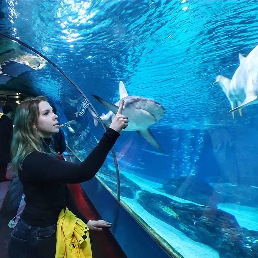 COEX水族館 Ryan 首爾親子自由行 首爾親子遊 首爾親子景點