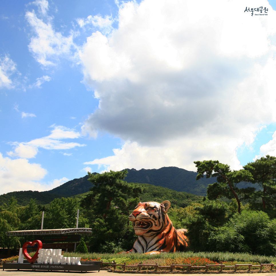 首爾動物園 首爾轉轉卡 Discover Seoul Pass 首爾自由行 首爾景點 首爾交通卡 仁川機場鐵路AREX