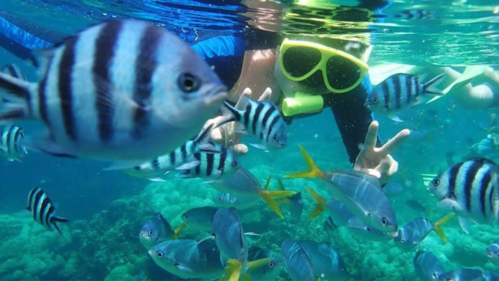香港 浮潛 西貢 Snorkeling hong kong Snorkeling hk 香港好去處 西貢好去處 水上活動 親子好去處 情侶好去處