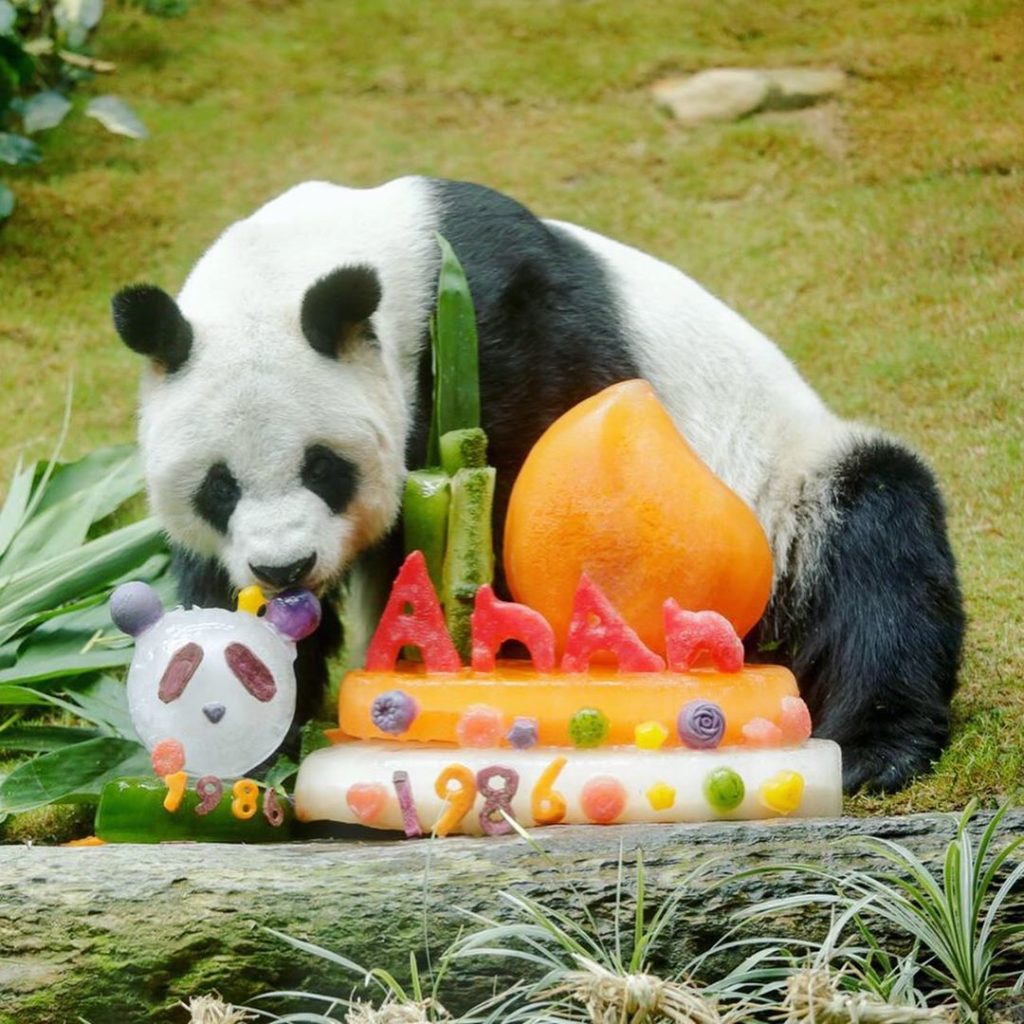 海洋公園 優惠 Ocean Park 香港海洋公園 森度遊 瑜伽 生日優惠 綠色旅遊團 添好運 Kkday優惠 Klook優惠 pacific coffee 優惠 太平洋咖啡 優惠