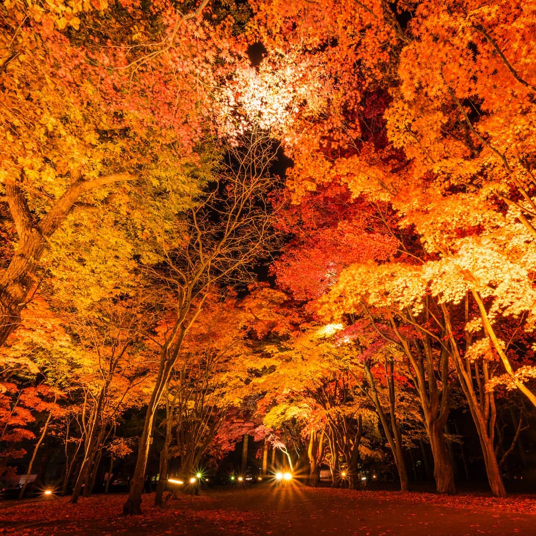 見晴公園(香雪園)|日本 Japan 日本必食 日本必吃 日本必到 日本必去 日本必買 日本必掃 日本自由行 日本行程 日本行程包 日本懶人包 日本好去處 日本景點 日本必到景點 日本必去景點 日本美食 日本交通 日本攻略 日本自由行行程 日本自由行行程推薦 日本酒店 日本飯店 日本酒店推薦 日本飯店推薦 日本必住酒店 日本必住飯店 日本必食2019 日本必吃2019 日本必到2019 日本必去2019 日本必買2019 日本必掃2019 日本自由行2019 日本行程2019 日本行程包2019 日本懶人包2019 日本好去處2019 日本景點2019 日本必到景點2019 日本必去景點2019 日本美食2019 日本交通2019 日本攻略2019 日本自由行行程2019 日本自由行行程推薦2019 日本酒店2019 日本飯店2019 日本酒店推薦2019 日本飯店推薦2019 日本必住酒店2019 日本必住飯店2019 北海道 Hokkaido 北海道必食 北海道必吃 北海道必到 北海道必去 北海道必買 北海道北海道必掃 北海道自由行 北海道行程 北海道行程包 北海道懶人包 北海道好去處 北海道景點 北海道必到景點 北海道必去景點 北海道美食 北海道交通 北海道攻略 北海道自由行行程 北海道自由行行程推薦 北海道酒店 北海道飯店 北海道酒店推薦 北海道飯店推薦 北海道必住酒店 北海道必住飯店 北海道必吃2019 北海道必到2019 北海道必去2019 北海道必買2019 北海道必掃2019 北海道自由行2019 北海道行程2019 北海道行程包2019 北海道懶人包2019 北海道好去處2019 北海道景點2019 北海道必到景點2019 北海道必去景點2019 北海道美食2019 北海道交通2019 北海道攻略2019 北海道自由行行程2019 北海道自由行行程推薦2019 北海道酒店2019 北海道飯店2019 北海道酒店推薦2019 北海道飯店推薦2019 北海道必住酒店2019 北海道必住飯店2019 北海道紅葉預測 北海道楓葉預測 見晴公園 香雪園 函館 五稜郭 大沼國定公園 大沼 大湯沼 登別 豐平峽 札幌 藻岩山 札幌 北海道大學 青池 美瑛 大雪山國立公園 上川 知床五湖 知床半島 香雪園專車 香雪園2019 香雪園夏天 香雪園冬天 香雪園公車 函館香雪園庭園 見晴公園紅葉點燈 見晴公園櫻花 見晴公園冬天 函館楓葉時間 見晴公園櫻花 見晴公園紅葉點燈 見晴公園點燈 見晴公園夏天 見晴公園冬天 見晴公園2018 見晴公園公車 香雪園專車 大沼國定公園 函館秋葉節