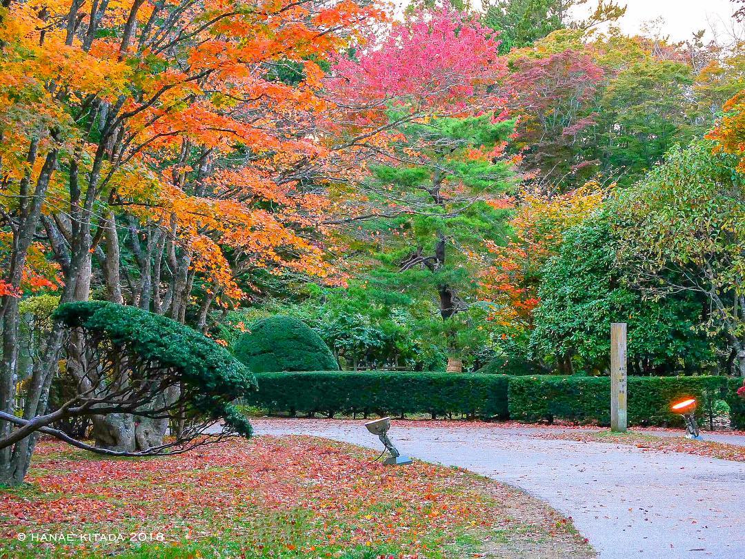 見晴公園(香雪園)|日本 Japan 日本必食 日本必吃 日本必到 日本必去 日本必買 日本必掃 日本自由行 日本行程 日本行程包 日本懶人包 日本好去處 日本景點 日本必到景點 日本必去景點 日本美食 日本交通 日本攻略 日本自由行行程 日本自由行行程推薦 日本酒店 日本飯店 日本酒店推薦 日本飯店推薦 日本必住酒店 日本必住飯店 日本必食2019 日本必吃2019 日本必到2019 日本必去2019 日本必買2019 日本必掃2019 日本自由行2019 日本行程2019 日本行程包2019 日本懶人包2019 日本好去處2019 日本景點2019 日本必到景點2019 日本必去景點2019 日本美食2019 日本交通2019 日本攻略2019 日本自由行行程2019 日本自由行行程推薦2019 日本酒店2019 日本飯店2019 日本酒店推薦2019 日本飯店推薦2019 日本必住酒店2019 日本必住飯店2019 北海道 Hokkaido 北海道必食 北海道必吃 北海道必到 北海道必去 北海道必買 北海道北海道必掃 北海道自由行 北海道行程 北海道行程包 北海道懶人包 北海道好去處 北海道景點 北海道必到景點 北海道必去景點 北海道美食 北海道交通 北海道攻略 北海道自由行行程 北海道自由行行程推薦 北海道酒店 北海道飯店 北海道酒店推薦 北海道飯店推薦 北海道必住酒店 北海道必住飯店 北海道必吃2019 北海道必到2019 北海道必去2019 北海道必買2019 北海道必掃2019 北海道自由行2019 北海道行程2019 北海道行程包2019 北海道懶人包2019 北海道好去處2019 北海道景點2019 北海道必到景點2019 北海道必去景點2019 北海道美食2019 北海道交通2019 北海道攻略2019 北海道自由行行程2019 北海道自由行行程推薦2019 北海道酒店2019 北海道飯店2019 北海道酒店推薦2019 北海道飯店推薦2019 北海道必住酒店2019 北海道必住飯店2019 北海道紅葉預測 北海道楓葉預測 見晴公園 香雪園 函館 五稜郭 大沼國定公園 大沼 大湯沼 登別 豐平峽 札幌 藻岩山 札幌 北海道大學 青池 美瑛 大雪山國立公園 上川 知床五湖 知床半島 香雪園專車 香雪園2019 香雪園夏天 香雪園冬天 香雪園公車 函館香雪園庭園 見晴公園紅葉點燈 見晴公園櫻花 見晴公園冬天 函館楓葉時間 見晴公園櫻花 見晴公園紅葉點燈 見晴公園點燈 見晴公園夏天 見晴公園冬天 見晴公園2018 見晴公園公車 香雪園專車 大沼國定公園 函館秋葉節