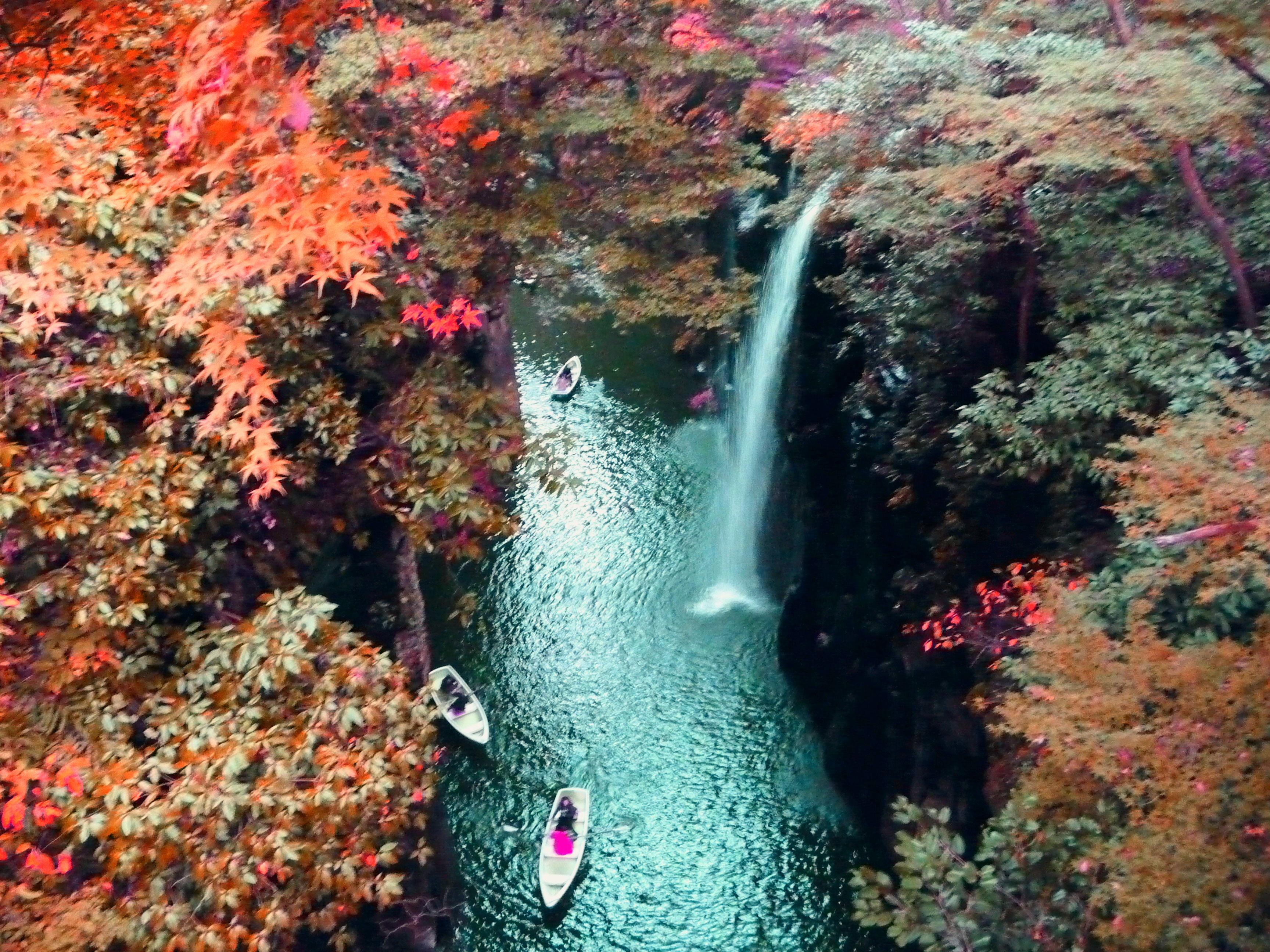 高千穗峽 高千穗峽紅葉 2019 高千穗峽 紅葉 2019 高千穗峽紅葉2019 宮崎 紅葉 景點 2019 宮崎紅葉景點 2019 宮崎 紅葉景點 2019 宮崎紅葉 2019 宮崎紅葉2019 宮崎 紅葉 宮崎紅葉 2019 宮崎紅葉2019 宮崎賞楓 2019 宮崎賞楓2019 宮崎賞楓景點 2019 宮崎賞楓景點2019 宮崎夜楓 2019 宮崎夜楓2019 宮崎夜楓景點2019 宮崎夜楓景點 2019 九州紅葉 2019 九州紅葉2019 九州紅葉 景點 2019 九州紅葉景點 2019 九州紅葉景點2019 九州賞楓 2019 九州賞楓2019 九州賞楓景點 2019 九州賞楓景點2019 九州賞楓 景點 2019 九州夜楓2019 九州夜楓 2019 九州夜楓景點2019 九州夜楓景點 2019 九州夜楓 景點 2019 九州楓葉2019 九州楓葉 2019 九州楓葉景點2019 九州楓葉景點 2019 九州 紅葉祭 2019 九州景點 九州必去 九州必看 九州自由行 九州行程 九州自由行行程推薦 九州自由行行程推介 九州自由行行程