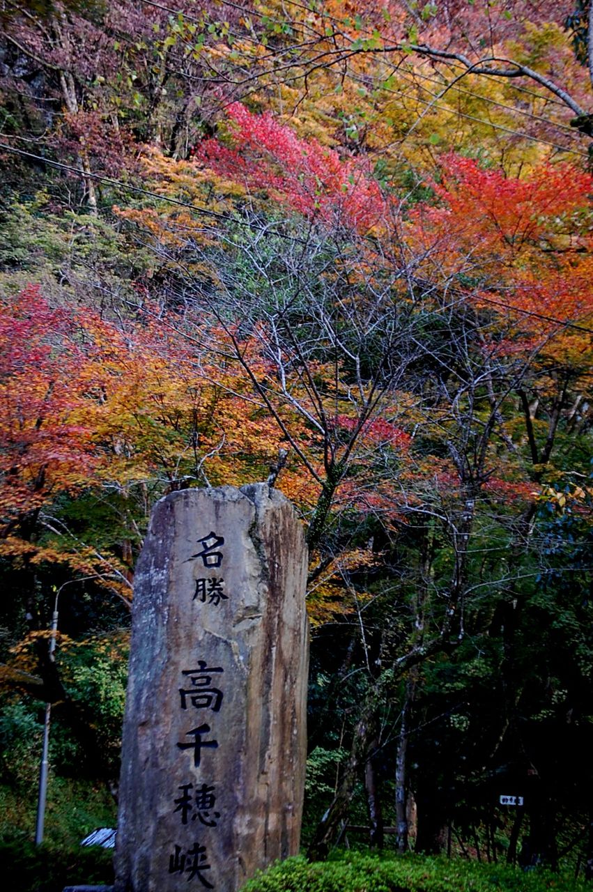 高千穗峽 高千穗峽紅葉 2019 高千穗峽 紅葉 2019 高千穗峽紅葉2019 宮崎 紅葉 景點 2019 宮崎紅葉景點 2019 宮崎 紅葉景點 2019 宮崎紅葉 2019 宮崎紅葉2019 宮崎 紅葉 宮崎紅葉 2019 宮崎紅葉2019 宮崎賞楓 2019 宮崎賞楓2019 宮崎賞楓景點 2019 宮崎賞楓景點2019 宮崎夜楓 2019 宮崎夜楓2019 宮崎夜楓景點2019 宮崎夜楓景點 2019 九州紅葉 2019 九州紅葉2019 九州紅葉 景點 2019 九州紅葉景點 2019 九州紅葉景點2019 九州賞楓 2019 九州賞楓2019 九州賞楓景點 2019 九州賞楓景點2019 九州賞楓 景點 2019 九州夜楓2019 九州夜楓 2019 九州夜楓景點2019 九州夜楓景點 2019 九州夜楓 景點 2019 九州楓葉2019 九州楓葉 2019 九州楓葉景點2019 九州楓葉景點 2019 九州 紅葉祭 2019 九州景點 九州必去 九州必看 九州自由行 九州行程 九州自由行行程推薦 九州自由行行程推介 九州自由行行程