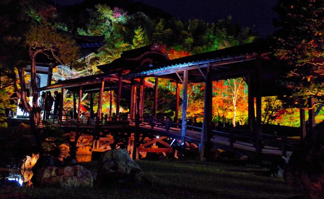 高台寺 Kodai-ji 櫻花 楓葉 夜楓 紅葉 竹林 高台寺櫻花 高台寺交通 高台寺夜間參拜 高台寺楓葉 高台寺門票 高台寺介紹 高台寺夜楓 高台寺竹林 高台寺觀音 高台寺紅葉