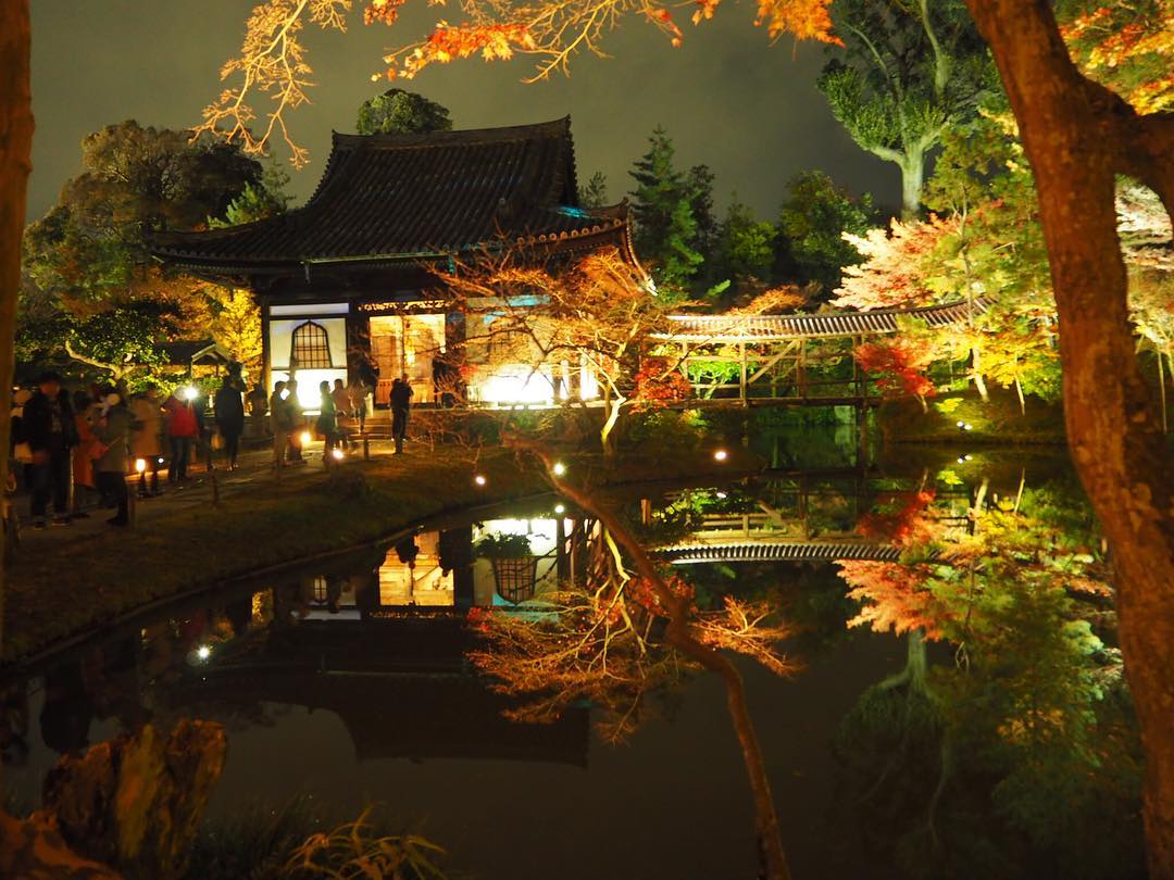 高台寺 Kodai-ji 櫻花 楓葉 夜楓 紅葉 竹林 高台寺櫻花 高台寺交通 高台寺夜間參拜 高台寺楓葉 高台寺門票 高台寺介紹 高台寺夜楓 高台寺竹林 高台寺觀音 高台寺紅葉