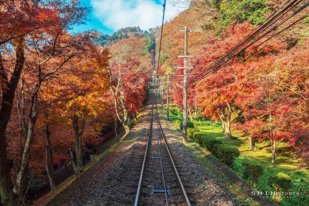 高尾山｜日本 Japan 日本必食 日本必吃 日本必到 日本必去 日本必買 日本必掃 日本自由行 日本行程 日本行程包 日本懶人包 日本好去處 日本景點 日本必到景點 日本必去景點 日本美食 日本交通 日本攻略 日本自由行行程 日本自由行行程推薦 日本酒店 日本飯店 日本酒店推薦 日本飯店推薦 日本必住酒店 日本必住飯店 日本必食2019 日本必吃2019 日本必到2019 日本必去2019 日本必買2019 日本必掃2019 日本自由行2019 日本行程2019 日本行程包2019 日本懶人包2019 日本好去處2019 日本景點2019 日本必到景點2019 日本必去景點2019 日本美食2019 日本交通2019 日本攻略2019 日本自由行行程2019 日本自由行行程推薦2019 日本酒店2019 日本飯店2019 日本酒店推薦2019 日本飯店推薦2019 日本必住酒店2019 日本必住飯店2019 東京 Tokyo 東京必食 東京必吃 東京必到 東京必去 東京必買 東京必掃 東京自由行 東京行程 東京行程包 東京懶人包 東京好去處 東京景點 東京必到景點 東京必去景點 東京美食 東京交通 東京攻略 東京自由行行程 東京自由行行程推薦 東京酒店 東京飯店 東京酒店推薦 東京飯店推薦 東京必住酒店 東京必住飯店 東京必食2019 東京必吃2019 東京必到2019 東京必去2019 東京必買2019 東京必掃2019 東京自由行2019 東京行程2019 東京行程包2019 東京懶人包2019 東京好去處2019 東京景點2019 東京必到景點2019 東京必去景點2019 東京美食2019 東京交通2019 東京攻略2019 東京自由行行程2019 東京自由行行程推薦2019 東京酒店2019 東京飯店2019 東京酒店推薦2019 東京飯店推薦2019 東京必住酒店2019 東京必住飯店2019 銀杏2019 日本銀杏 日本銀杏2019 東京銀杏 東京銀杏2019 楓葉2019 紅葉2019 日本楓葉2019 日本楓葉 日本紅葉 日本紅葉2019 東京楓葉2019 東京楓葉 東京紅葉 東京紅葉2019 河口湖紅葉迴廊 河口湖 河口湖楓葉 河口湖紅葉 高尾山 高尾山楓葉 高尾山紅葉 高尾山纜車 高尾山藥王院 高尾山美食 日光紅葉 日光紅葉坂 日光 紅葉坂 龍頭瀑布 龍頭瀑布紅葉 日光楓葉 紅葉坂楓葉 龍頭瀑布楓葉 湯之湖 湯之湖紅葉 湯之湖楓葉 中禪寺湖 中禪寺湖楓葉 中禪寺湖紅葉 輪王寺 輪王寺紅葉 輪王寺楓葉 龍王峽 龍王峽紅葉 龍王峽楓葉 高尾山夏天 高尾山美食 高尾山官網 高尾山溫泉 高尾山冬天 高尾山紅葉 高尾山富士山 高尾山2018 高尾山9月 高尾山英文