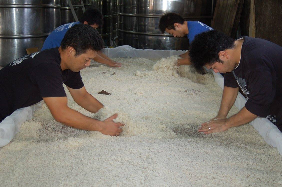 泡盛釀造過程
