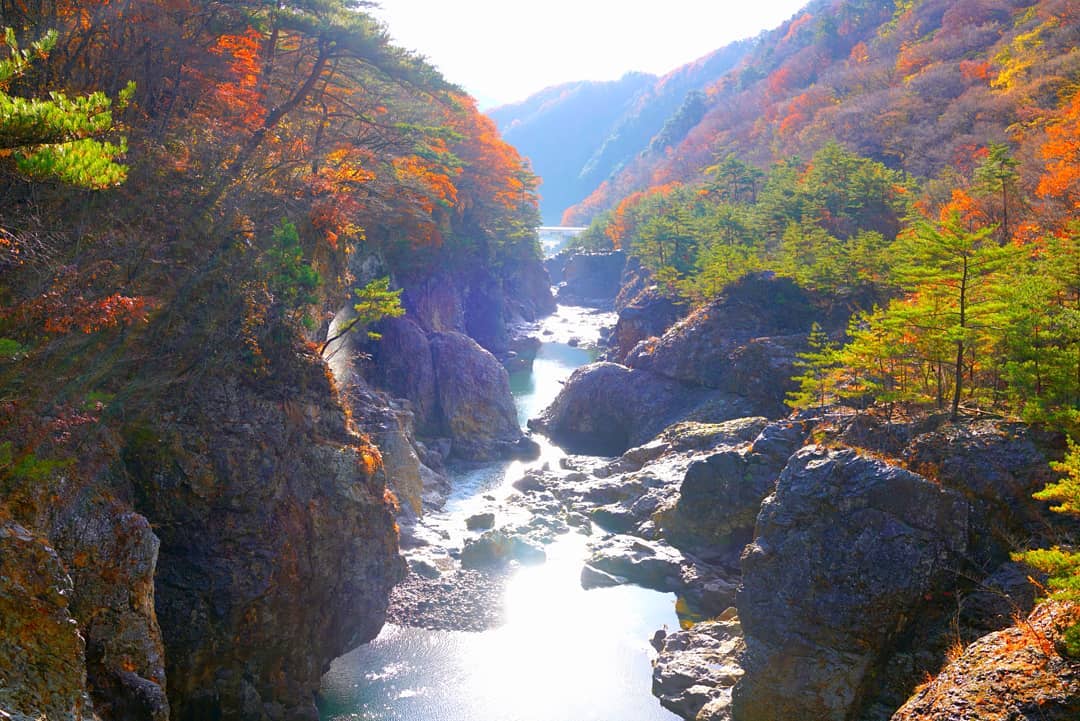 鬼怒川溫泉|日本 Japan 日本必食 日本必吃 日本必到 日本必去 日本必買 日本必掃 日本自由行 日本行程 日本行程包 日本懶人包 日本好去處 日本景點 日本必到景點 日本必去景點 日本美食 日本交通 日本攻略 日本自由行行程 日本自由行行程推薦 日本酒店 日本飯店 日本酒店推薦 日本飯店推薦 日本必住酒店 日本必住飯店 日本必食2019 日本必吃2019 日本必到2019 日本必去2019 日本必買2019 日本必掃2019 日本自由行2019 日本行程2019 日本行程包2019 日本懶人包2019 日本好去處2019 日本景點2019 日本必到景點2019 日本必去景點2019 日本美食2019 日本交通2019 日本攻略2019 日本自由行行程2019 日本自由行行程推薦2019 日本酒店2019 日本飯店2019 日本酒店推薦2019 日本飯店推薦2019 日本必住酒店2019 日本必住飯店2019 東京 Tokyo 東京必食 東京必吃 東京必到 東京必去 東京必買 東京必掃 東京自由行 東京行程 東京行程包 東京懶人包 東京好去處 東京景點 東京必到景點 東京必去景點 東京美食 東京交通 東京攻略 東京自由行行程 東京自由行行程推薦 東京酒店 東京飯店 東京酒店推薦 東京飯店推薦 東京必住酒店 東京必住飯店 東京必食2019 東京必吃2019 東京必到2019 東京必去2019 東京必買2019 東京必掃2019 東京自由行2019 東京行程2019 東京行程包2019 東京懶人包2019 東京好去處2019 東京景點2019 東京必到景點2019 東京必去景點2019 東京美食2019 東京交通2019 東京攻略2019 東京自由行行程2019 東京自由行行程推薦2019 東京酒店2019 東京飯店2019 東京酒店推薦2019 東京飯店推薦2019 東京必住酒店2019 東京必住飯店2019 草津溫泉 箱根溫泉 鬼怒川溫泉 伊豆溫泉 伊香保溫泉 熱海溫泉 白骨溫泉 修善寺溫泉 日光溫泉 河口湖溫泉 那須溫泉 四萬溫泉 伊東溫泉 石和溫泉 月岡溫泉 下部溫泉 湯西川溫泉 水上谷川溫泉 湯田中澀溫泉 諏訪溫泉 銚子溫泉 土肥溫泉 蓼科溫泉 赤倉溫泉 中禪寺溫泉 奧日光湯元溫泉 日本溫泉 東京溫泉 東京近郊 日本近郊 鬼怒川溫泉景點 鬼怒川溫泉街 鬼怒川溫泉廢墟 鬼怒川溫泉商店街 鬼怒川溫泉廢墟原因 鬼怒川溫泉交通 鬼怒川溫泉冬天 鬼怒川溫泉天氣 鬼怒川溫泉日歸 枥木縣鬼怒川溫泉 上諏訪溫泉