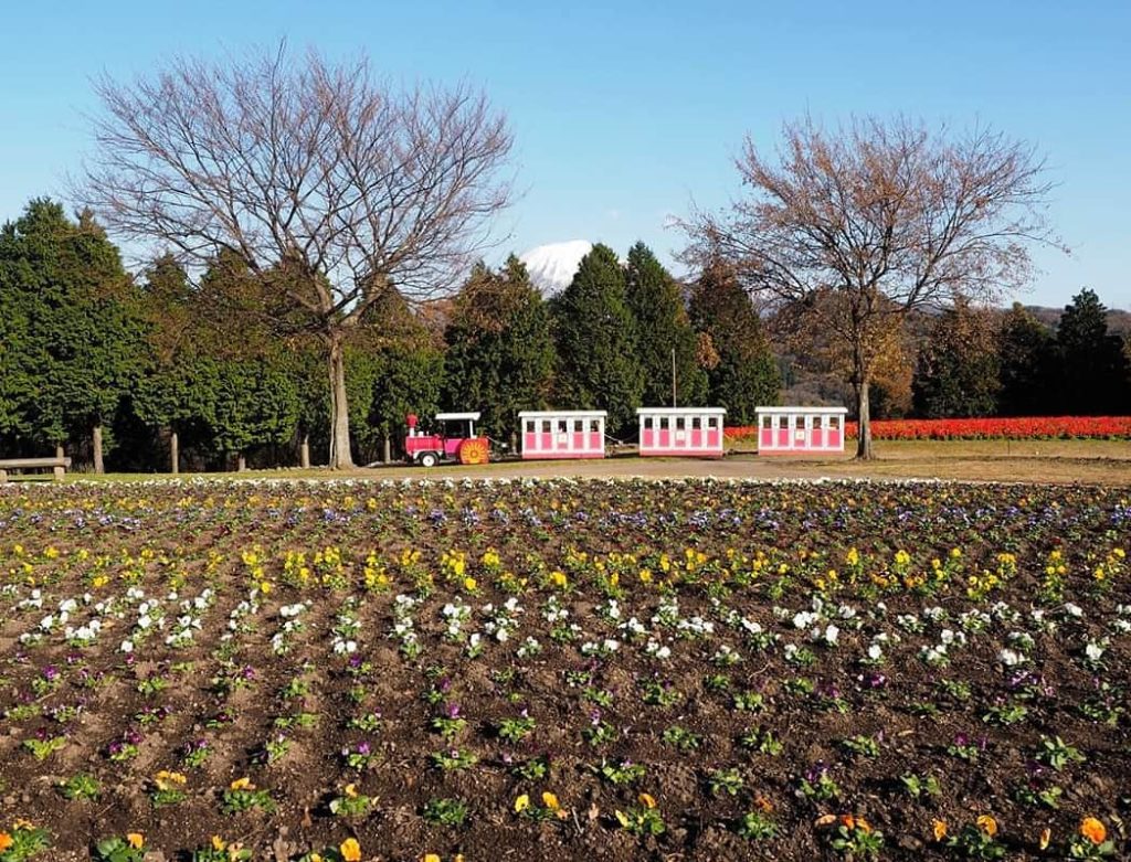 米子必去 米子景點 月光花園 雅典娜:戰爭的女神 大山 鳥取花迴廊 鳥取一日遊 大阪行程 鳥取 日本鳥取 鳥取自由行 大阪 鳥取 鳥取景點