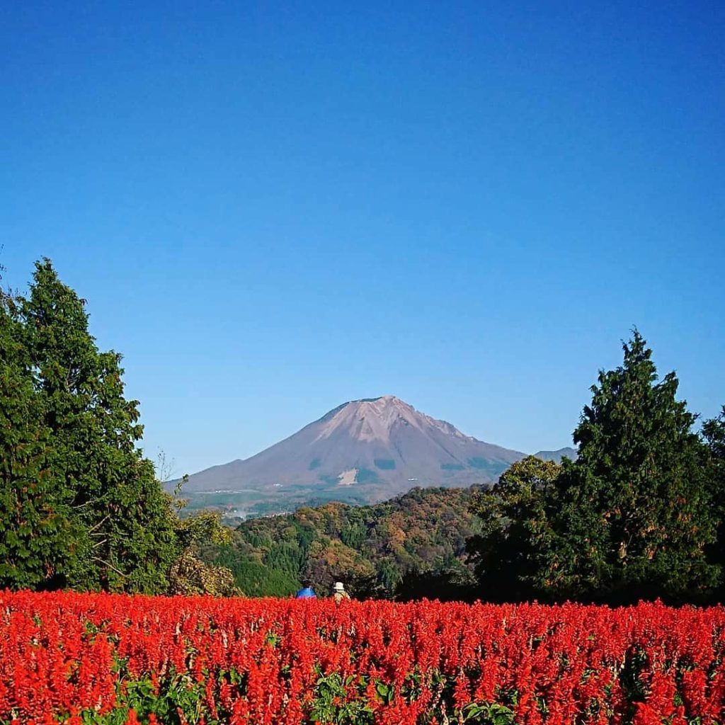 米子必去 米子景點 月光花園 雅典娜:戰爭的女神 大山 鳥取花迴廊 鳥取一日遊 大阪行程 鳥取 日本鳥取 鳥取自由行 大阪 鳥取 鳥取景點