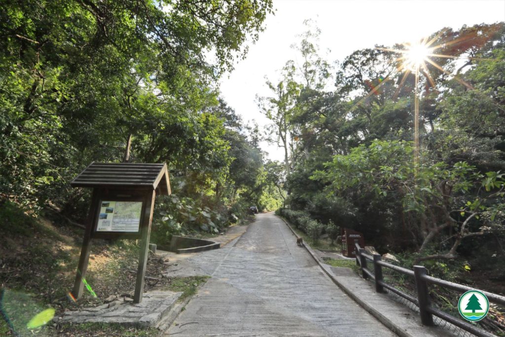 香港好去處 鷹巢山自然教育徑 獅子山 香港行山 行山好去處 行山新手 新手行山路線 香港行山徑 九龍行山