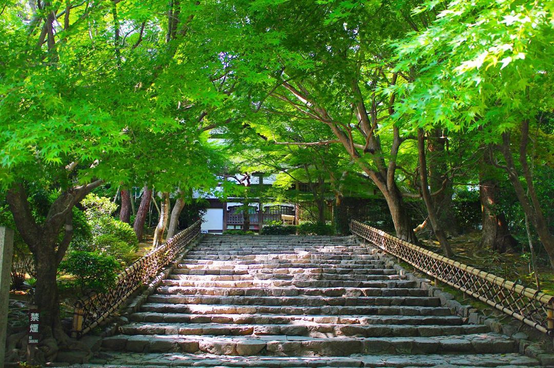 龍安寺 Ryoan-ji 石造凈水盤 應仁之亂 枯山水庭園 西源院 龍安寺櫻花 櫻花 楓葉 紅葉 龍安寺冬天 龍安寺時間 龍安寺歷史 龍安寺英文 龍安寺金閣寺 日本世界遺産龍安寺 龍安寺紅葉 龍安寺石庭枯山水
