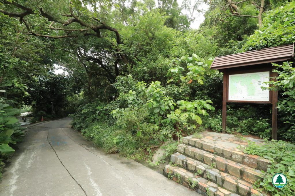 香港好去處 香港行山 行山好去處 行山新手 新手行山路線 香港行山徑 簡單行山路線 龍脊 港島徑 第八段 港島行山 菠蘿壩自然教育徑